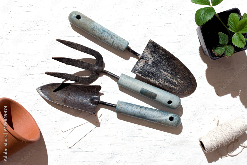 Canvas Prints Gardening tools isolated on a white grunge background