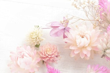 pink dried flowers background