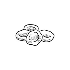 vector drawing dried apricots, dried fruits isolated at white background, hand drawn illustration