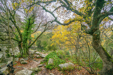 Termessos is one of the best preserved of the ancient cities of Turkey, was founded by the Solims, and concealed by pine forests and with a peaceful and untouched appearance