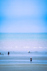 서해 바다와 갯벌