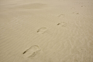 Fototapeta na wymiar 足跡のある砂浜
