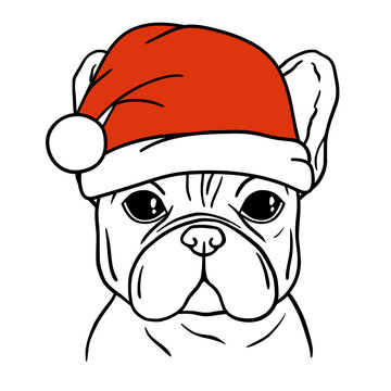 French bulldog black and white hand drawn portrait. French bulldog face in line. Dog head with santa hat. Cute muzzle French Bulldog.