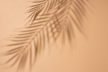 Shadows of tropical leaves of a palm tree on a brown background. Top view, flat lay