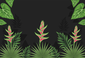 exotic tropical plants frame