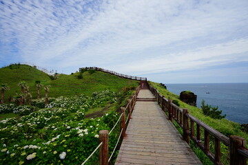 Fototapeta na wymiar a wonderful boardwalk at a seaside cliff
