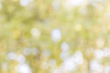 Obraz premium Abstract natural bokeh background, blurred bokeh