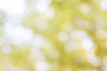 Abstract natural bokeh background, blurred bokeh