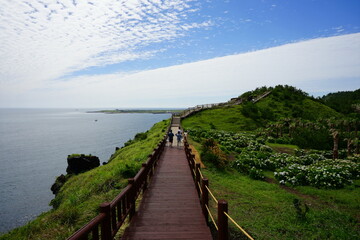 Obraz premium a wonderful boardwalk at a seaside cliff