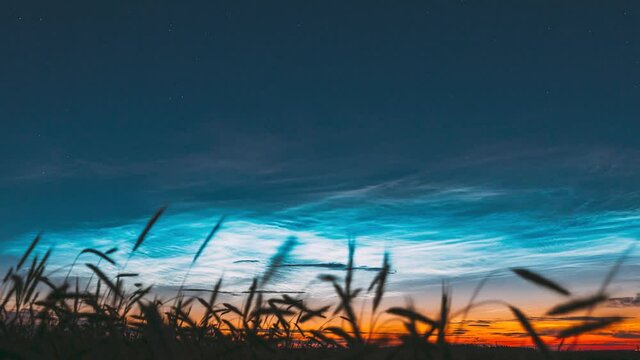 Hyperlapse Pan Slider Shot Time Lapse 4K Night Starry Sky With Glowing Stars Above Countryside Landscape. Noctilucent Clouds Above Rural Wheat Field In Summer. Summertime. TimeLapse Time-Lapse.