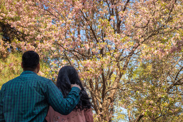 young couple watching cherry blossom flowers at afternoon from low angles