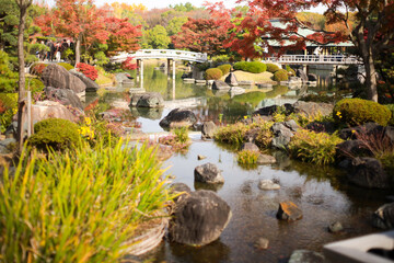 Fototapeta na wymiar 大仙公園秋の日本庭園