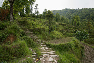 Fototapeta na wymiar Annapurna Sanctuary trek part from Phedi to Pothana, Nepal