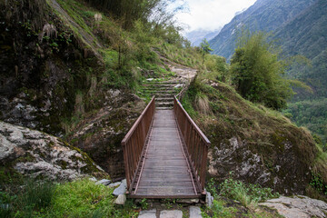 Annapurna Sanctuary trek part from Pitam Deurali to Bamboo.