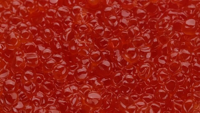 Red caviar close up, rotation. Lots of red caviar. Healthy food concept. 4K UHD video