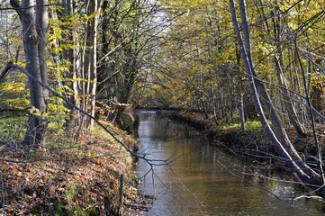 Herbst Landschaft im Park Breidings Garten in Soltau, Niedersachsen