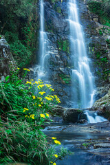 waterfall flowing streams through rocks in forest with blurred water surface long exposure shot