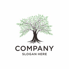 Obraz premium Company nature tree logo template Premium Vector