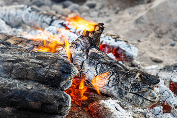 Gray burning trunks for a bonfire are in a fireplace in the forest