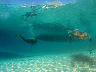 underwater scuba diver , caribbean sea , Venezuela