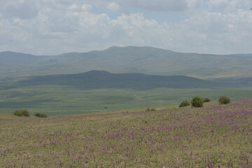 Field and clouds, 