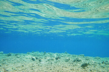 Underwater background