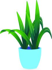 Beautiful houseplant for interior decoration in home, office or cooperate. Vector of a flowerpot and long green leaves isolated in white background