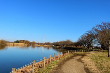 静かな散策路　風景