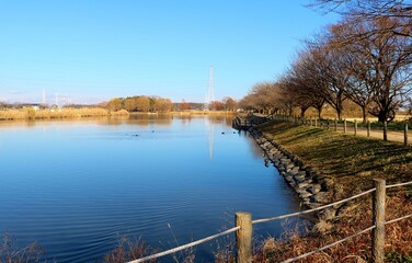 風景　冬　のんびり歩く