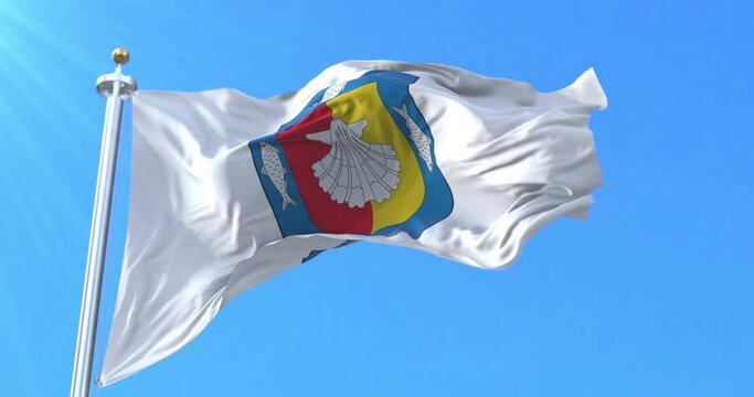 Flag of Baja California Sur, Mexico. Loop