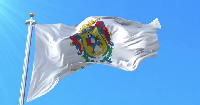 Guanajuato Flag, Mexico. Loop