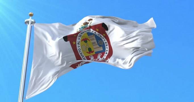 Oaxaca Flag, Mexico. Loop