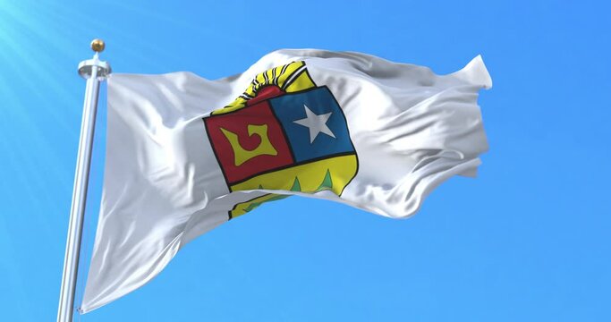 Flag of Quintana Roo, Mexico. Loop