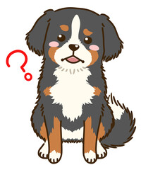 疑問に思うバーニーズマウンテンドッグ