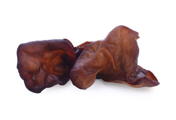 ear mushroom on white background