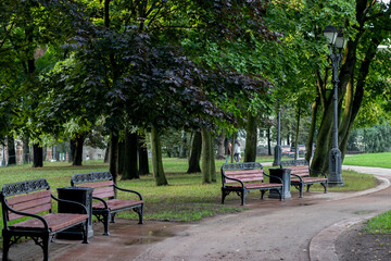 three benches in a green park