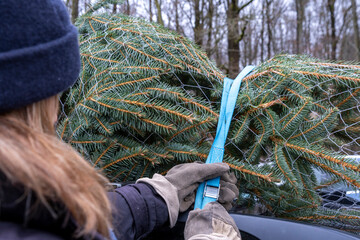 fresh cut Christmas tree to a roof of a car. Lifestyle, celebration, relationship concept