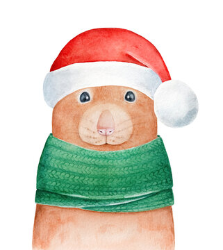 Cute little mouse wearing green warm knitted scarf and bright red Santa's hat. Hand painted watercolour illustration, isolated clipart element for design decoration, seasonal card, celebration poster.
