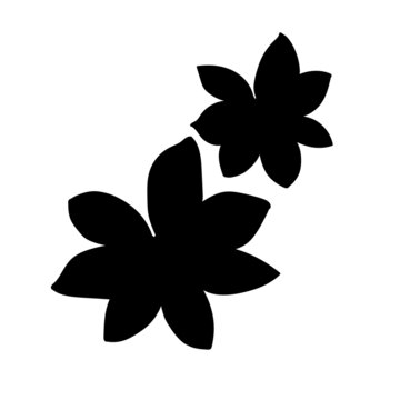 recommend clip art: Star anise silhouette on white background