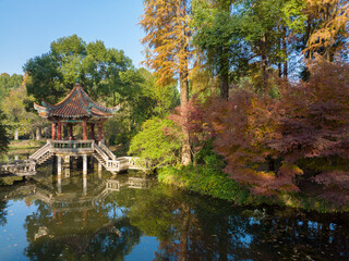 Fototapeta na wymiar Autumn scenery in Wuhan Botanical Garden, Hubei, China