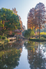 Obraz na płótnie Canvas Autumn scenery in Wuhan Botanical Garden, Hubei, China