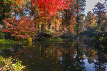 Autumn scenery in Wuhan Botanical Garden, Hubei, China