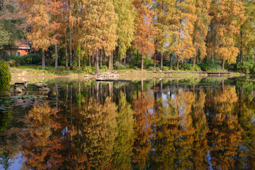 Autumn scenery in Wuhan Botanical Garden, Hubei, China