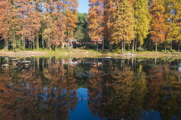 Autumn scenery in Wuhan Botanical Garden, Hubei, China
