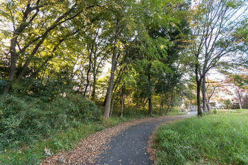 王禅寺公園（神奈川県川崎市麻生区王禅寺）