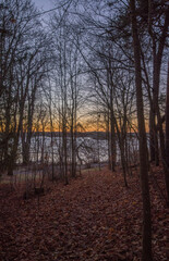 Morning winter view of young oak forest at sunrise, the lake Mälaren with a glowing skyline a sunny day in Stockholm