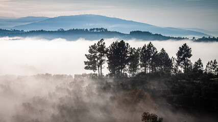 Fototapeta premium Landscape overview through the fog (Régua, Portugal)