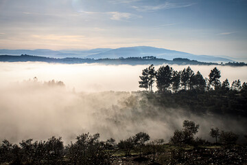 Fototapeta na wymiar Landscape overview through the fog (Régua, Portugal)