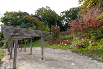 万福寺おやしろ公園（神奈川県川崎市麻生区万福寺）