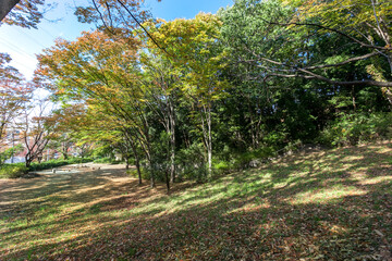 万福寺檜山公園（神奈川県川崎市麻生区万福寺）